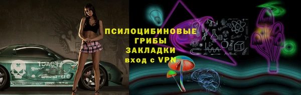 крисы Карталы