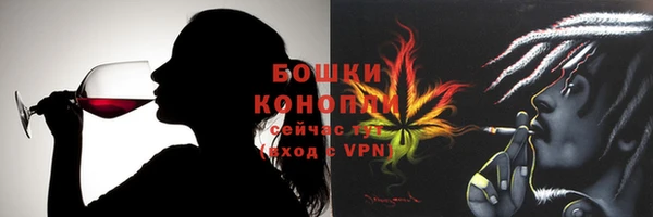 соль ск Касимов