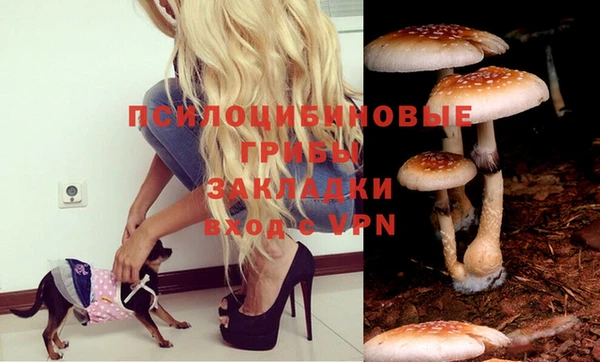 крисы Карталы
