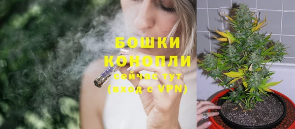 крисы Карталы