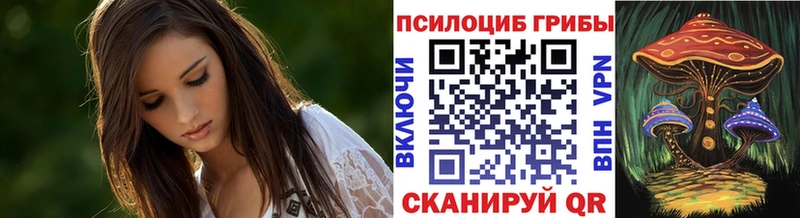 Купить закладки  Вольск  Галлюциногенные грибы Magic Shrooms 